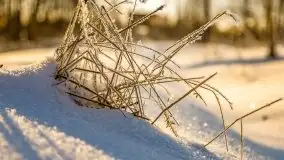 Mikołajki w zimowej scenerii, luty 2021 r. - zdjęcie 40