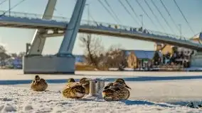 Mikołajki w zimowej scenerii, luty 2021 r. - zdjęcie 104