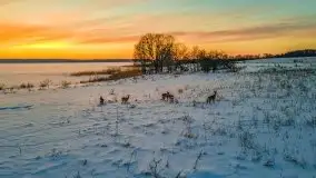 Zachód słońca Pierkunowo i okolice, luty 2021 - zdjęcie 12