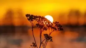 Zachód słońca Pierkunowo i okolice, luty 2021 - zdjęcie 62