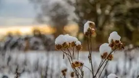 Okolice Kleszczewa w zimowej scenerii, styczeń 2021 - zdjęcie 11