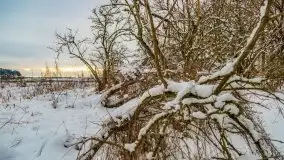 Okolice Kleszczewa w zimowej scenerii, styczeń 2021 - zdjęcie 55