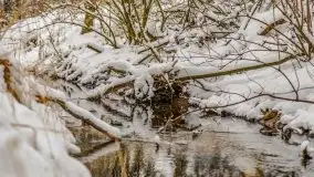 Okolice Kleszczewa w zimowej scenerii, styczeń 2021 - zdjęcie 37