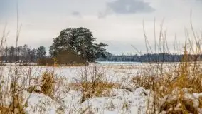 Okolice Kleszczewa w zimowej scenerii, styczeń 2021 - zdjęcie 47