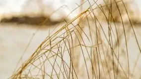 Okolice Kleszczewa w zimowej scenerii, styczeń 2021 - zdjęcie 51