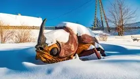 Stare Juchy w zimowej aurze, luty 2021 r. - zdjęcie 57