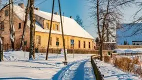 Stare Juchy w zimowej aurze, luty 2021 r. - zdjęcie 40