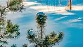 Stare Juchy w zimowej aurze, luty 2021 r. - zdjęcie 45