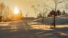 Stare Juchy w zimowej aurze, luty 2021 r. - zdjęcie 42