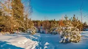 Stare Juchy w zimowej aurze, luty 2021 r. - zdjęcie 68