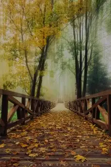 Miłośnicy Mazur - piękno regionu uchwycone przez Justynę Słuchocką - zdjęcie 34