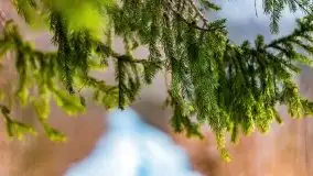 Śluza w Leśniewie Górnym w zimowej szacie, luty 2021 - zdjęcie 27