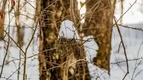 Śluza w Leśniewie Górnym w zimowej szacie, luty 2021 - zdjęcie 59