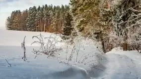 Jezioro Ślepieniec skąpane w zimowej bieli, luty 2021 - zdjęcie 20