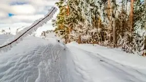 Jezioro Ślepieniec skąpane w zimowej bieli, luty 2021 - zdjęcie 48