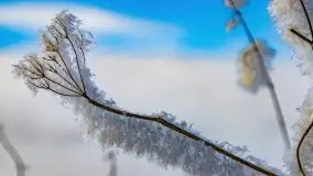 Jezioro Ślepieniec skąpane w zimowej bieli, luty 2021 - zdjęcie 56