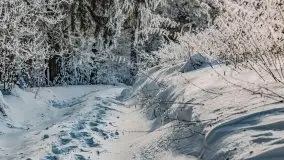 Jezioro Ślepieniec skąpane w zimowej bieli, luty 2021 - zdjęcie 10