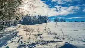 Jezioro Ślepieniec skąpane w zimowej bieli, luty 2021 - zdjęcie 5