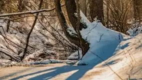 Jezioro Ślepieniec skąpane w zimowej bieli, luty 2021 - zdjęcie 46