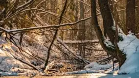 Jezioro Ślepieniec skąpane w zimowej bieli, luty 2021 - zdjęcie 18