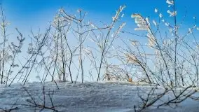 Jezioro Ślepieniec skąpane w zimowej bieli, luty 2021 - zdjęcie 36