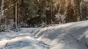 Jezioro Ślepieniec skąpane w zimowej bieli, luty 2021 - zdjęcie 52