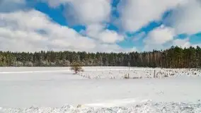 Jezioro Ślepieniec skąpane w zimowej bieli, luty 2021 - zdjęcie 60