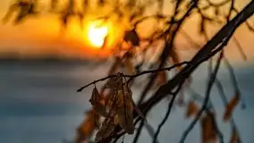 Zachód słońca nad jeziorem Niegocin, luty 2021 - zdjęcie 48