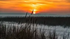 Zachód słońca nad jeziorem Niegocin, luty 2021 - zdjęcie 57