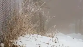 Poranne i zimowe mgły w okolicach Kruklanek - zdjęcie 1