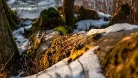 Zachód słońca nad jeziorem Kruklin, luty 2021 - zdjęcie 27