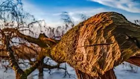 Zachód słońca nad jeziorem Kruklin, luty 2021 - zdjęcie 22