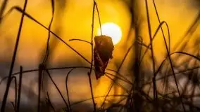 Zachód słońca nad jeziorem Kruklin, luty 2021 - zdjęcie 16