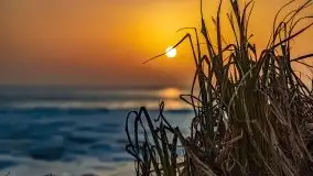 Zimowy zachód słońca nad jeziorem Śniardwy - zdjęcie 13