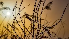 Zimowe Śniardwy i Okartowo, luty 2021 r. - zdjęcie 8