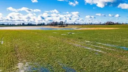 Szukamy wiosny - znajdujemy pierwsze oznaki