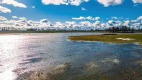 Szukamy wiosny - znajdujemy pierwsze oznaki - zdjęcie 24