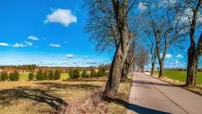 Szukamy wiosny - znajdujemy pierwsze oznaki - zdjęcie 3