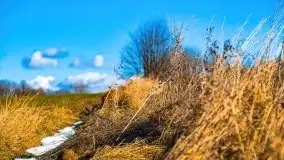 Szukamy wiosny - znajdujemy pierwsze oznaki - zdjęcie 10