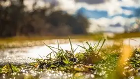 Szukamy wiosny - znajdujemy pierwsze oznaki - zdjęcie 17