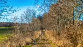 Szukamy wiosny - znajdujemy pierwsze oznaki - zdjęcie 33