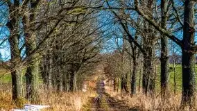 Szukamy wiosny - znajdujemy pierwsze oznaki - zdjęcie 50