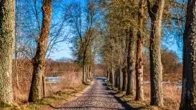 Szukamy wiosny - znajdujemy pierwsze oznaki - zdjęcie 45