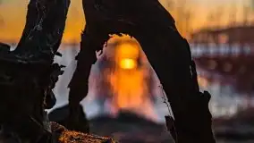 Przedwiosenny zachód słońca nad jeziorem Gołdopiwo i Żabiniec - zdjęcie 37