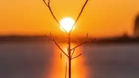 Przedwiosenny zachód słońca nad jeziorem Gołdopiwo i Żabiniec - zdjęcie 58