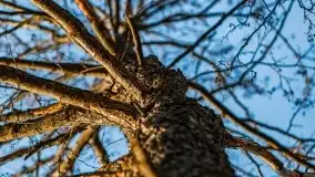 Marcowy zachód słońca nad jeziorem Dejguny - zdjęcie 9