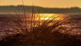 Marcowy zachód słońca nad jeziorem Dejguny - zdjęcie 48