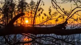 Marcowy zachód słońca nad jeziorem Dejguny - zdjęcie 53