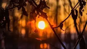 Marcowy zachód słońca nad jeziorem Dejguny - zdjęcie 32