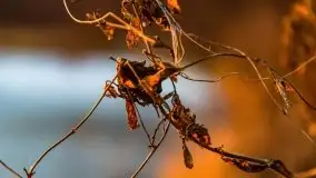 Marcowy zachód słońca nad jeziorem Dejguny - zdjęcie 49